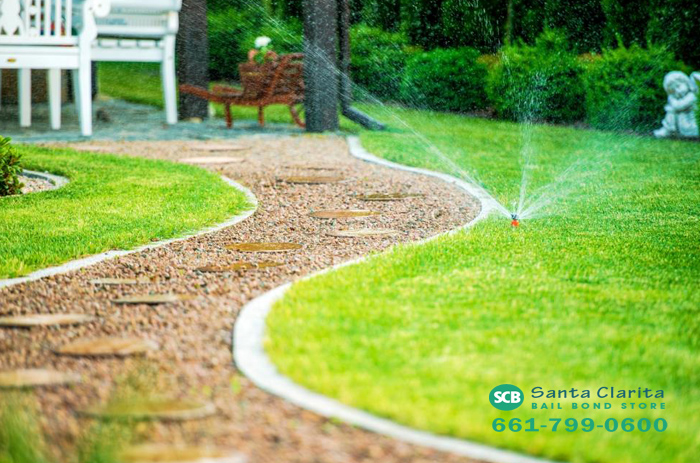 watering-your-california-lawn-santa-clarita-bail-bond-store